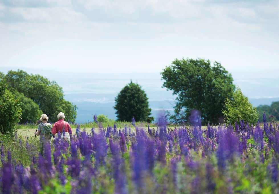 Sure Hotel by Best Western Rhön Garden