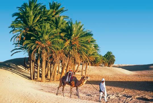 Mövenpick Resort & Marine Spa Sousse