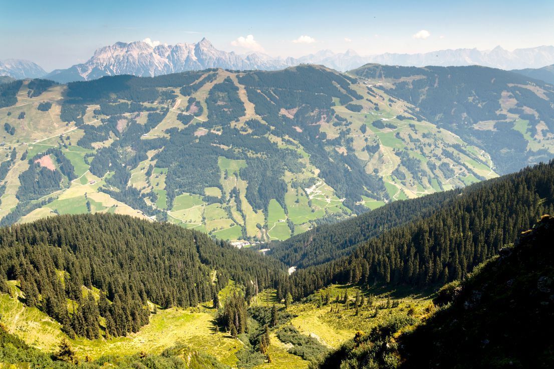 Hotel und Villa Austria