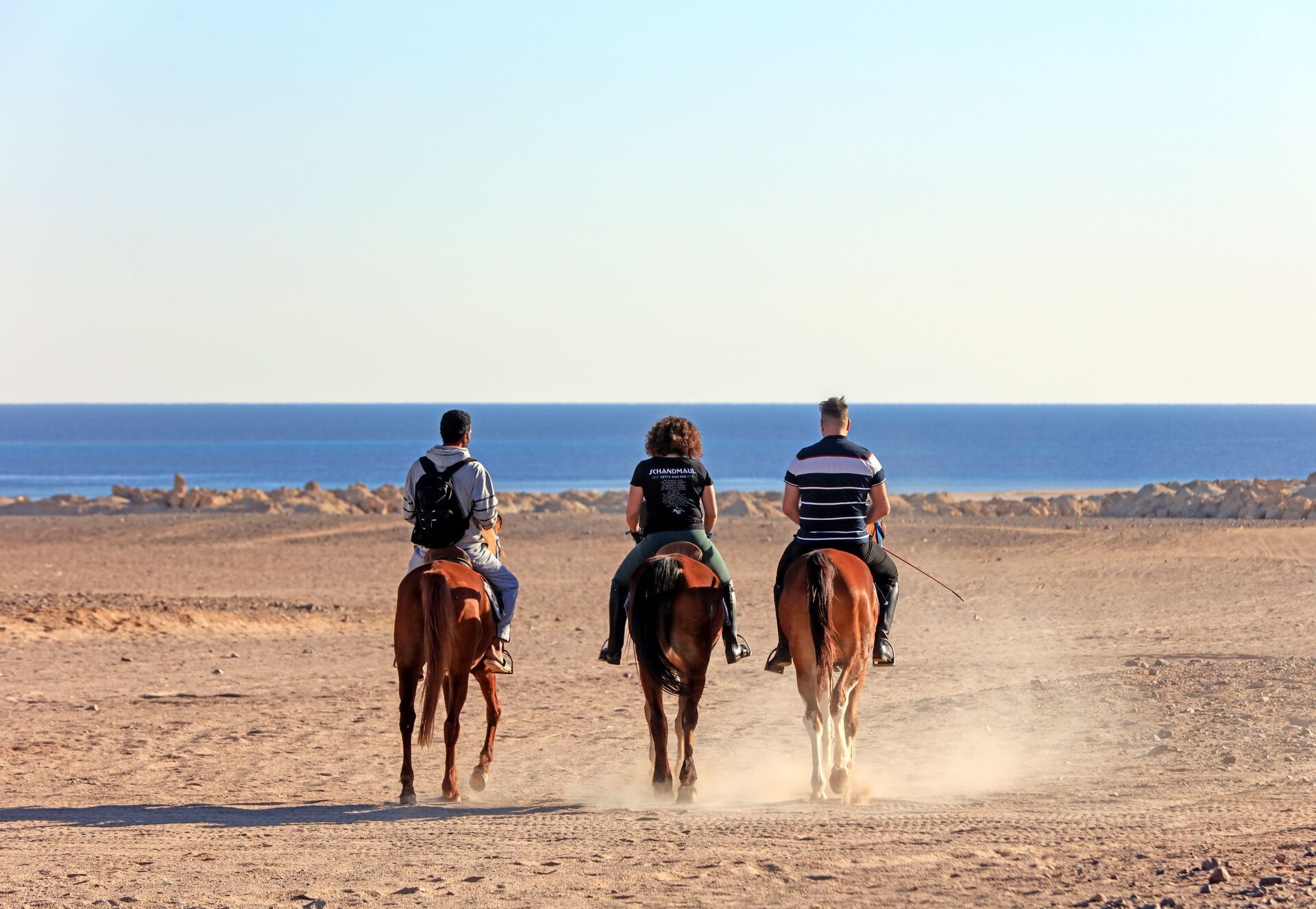 Tropitel Sahl Hasheesh - Topseller bei sonnenklar.TV