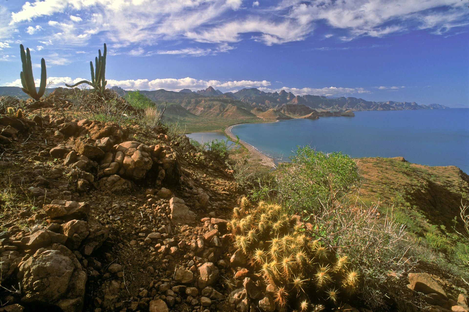 Dreams Los Cabos Suites Golf Resort & Spa