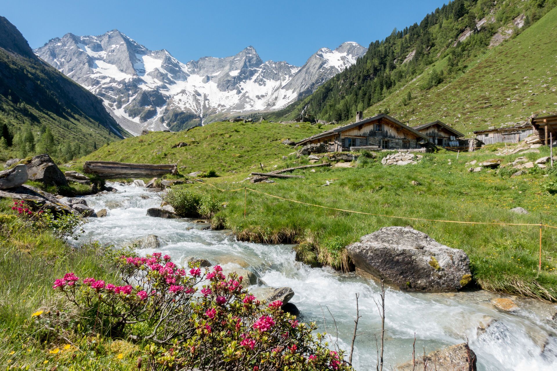 Anett Hotel - Urlaub in Südtirol