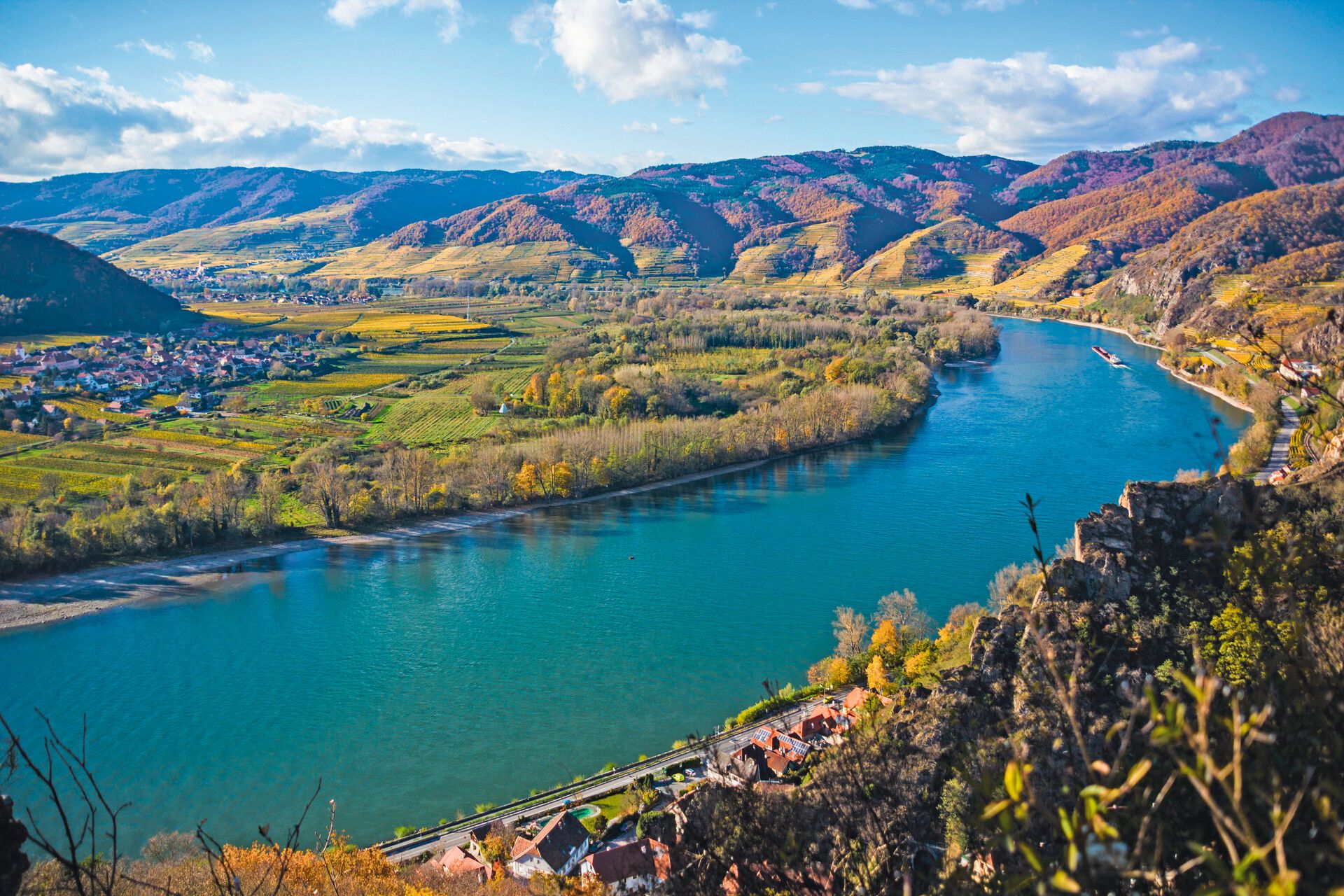 MS Belvedere, MS Bolero oder MS Viktoria - Auf der schönen Donau inkl. Haustürabholung