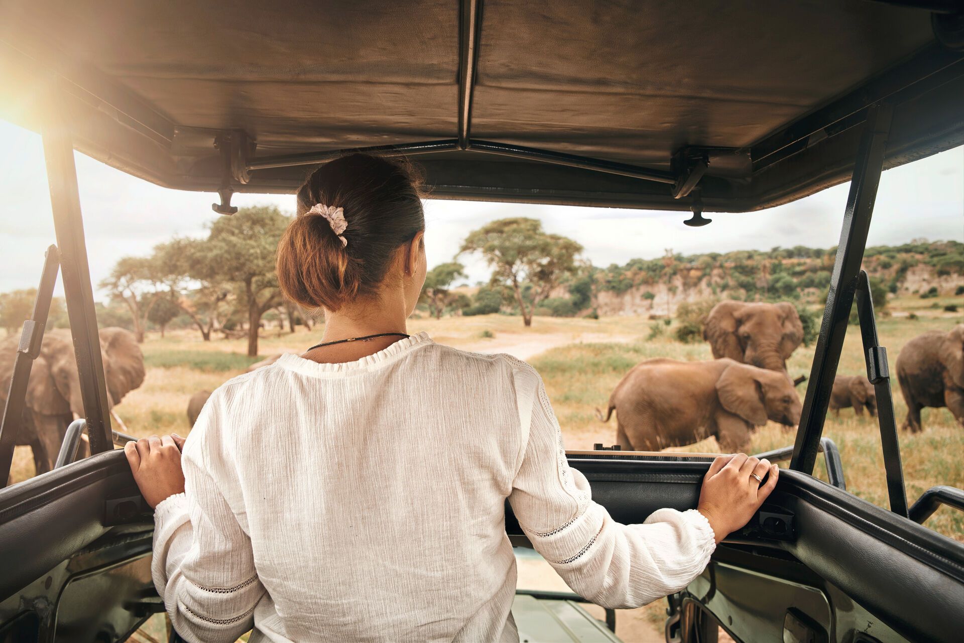 Safari-Erlebnis in Tansania & Traumstrand auf Sansibar