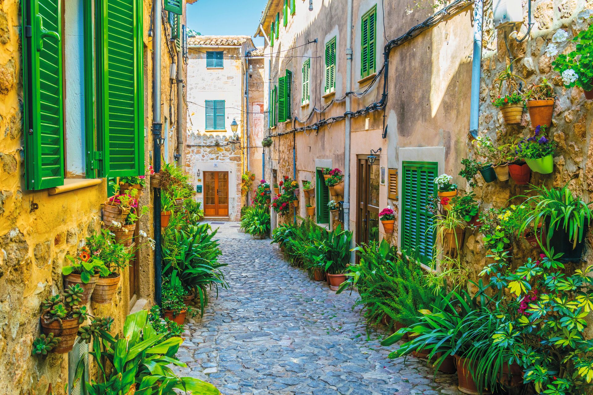Standortrundreise Frühlingserwachen auf Mallorca (4* Hotel Alua Leo)