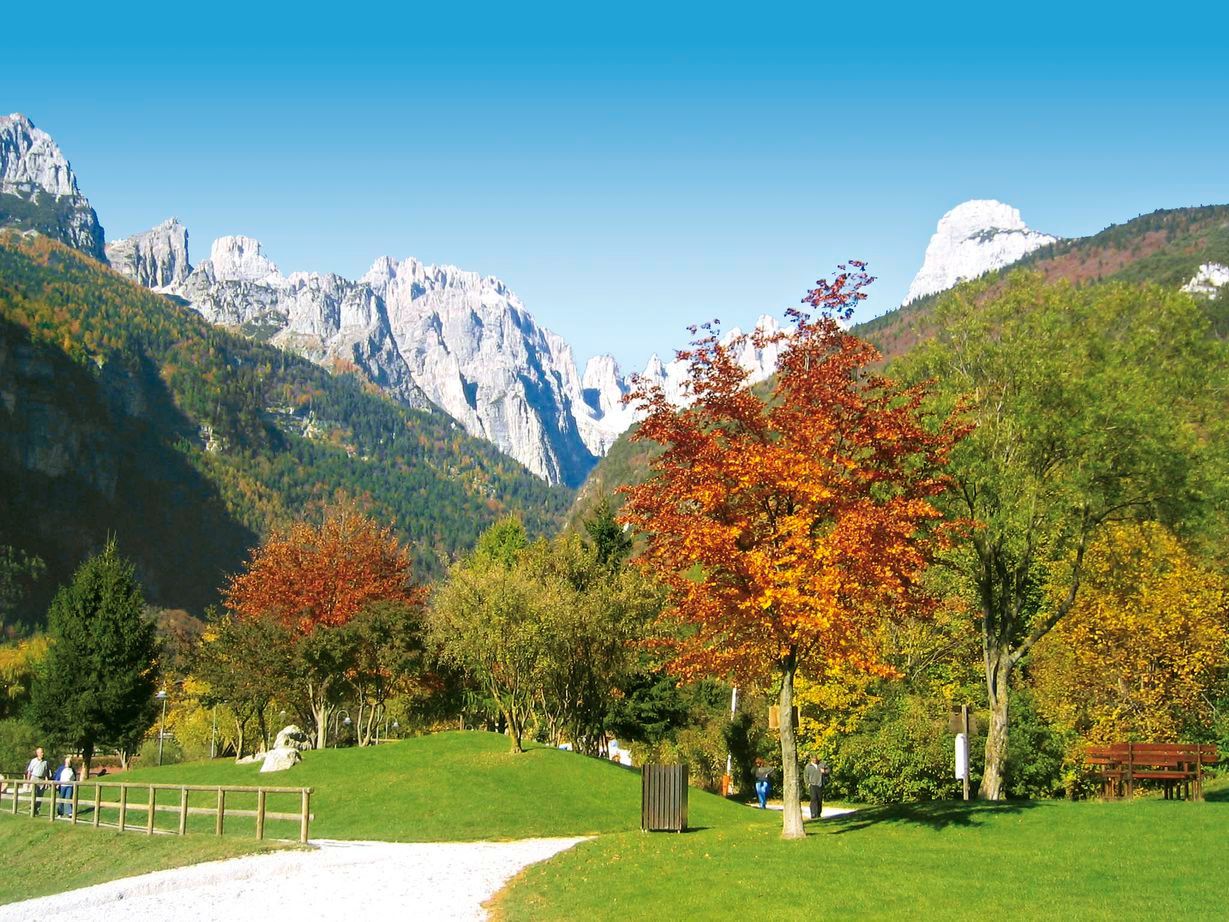 Hotel Erica - Freiheit & Wellness in den Alpen